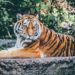 Navštivte zoologickou zahradu v Brně také přes zimní období