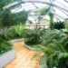 Skleníky botanické zahrady Přírodovědecké fakulty Masarykovy univerzity v Brně; skutečná archivní fotografie