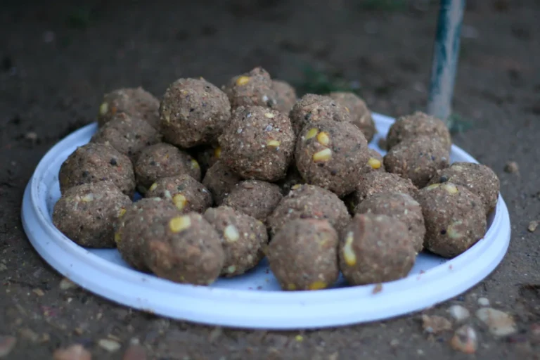 Skutečná fotografie boilies, jedné z možností nástrahy a návnady na kapry