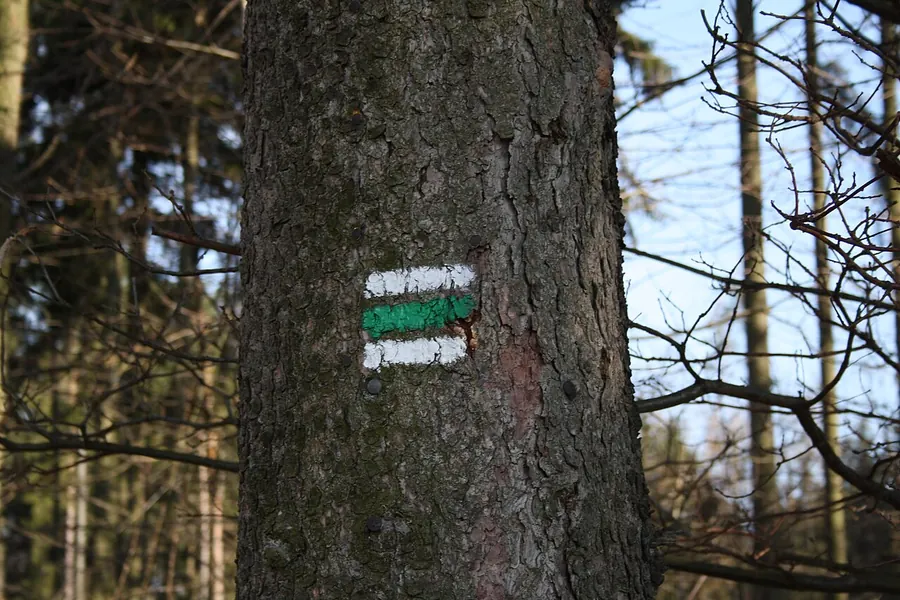 Zelená pěší turistická značka na stromě u Rudíkova, skutečná fotografie