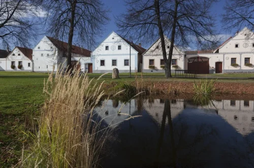 Bílé štíty selských usedlostí na západní straně návsi v Holašovicích odrážející se v návesním rybníčku