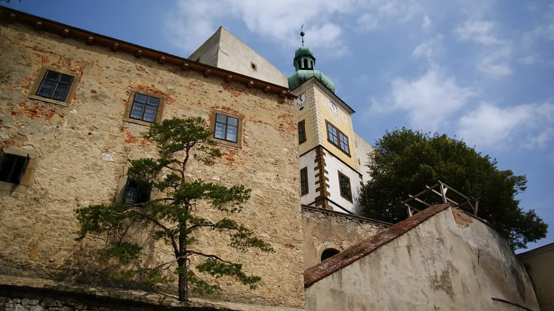 Hrad Buchlov, kamenný palác a hodinová věž se zelenou bání nad nádvořím, v popředí borovice