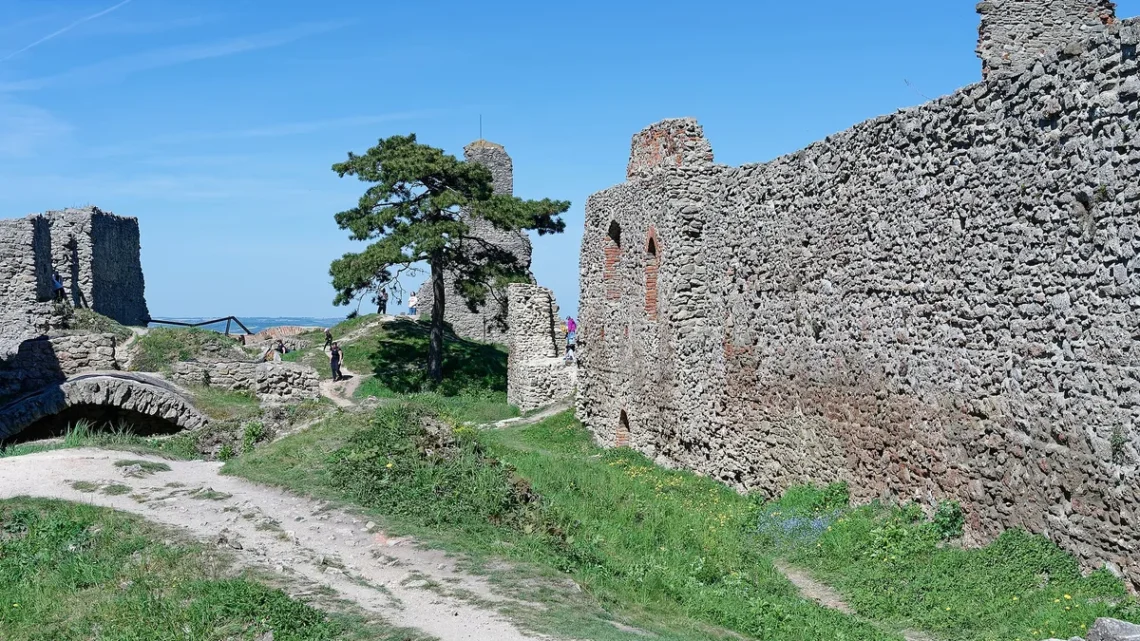 Hradby a travnaté nádvoří zříceniny hradu Starý Jičín s borovicí a zbytky věže