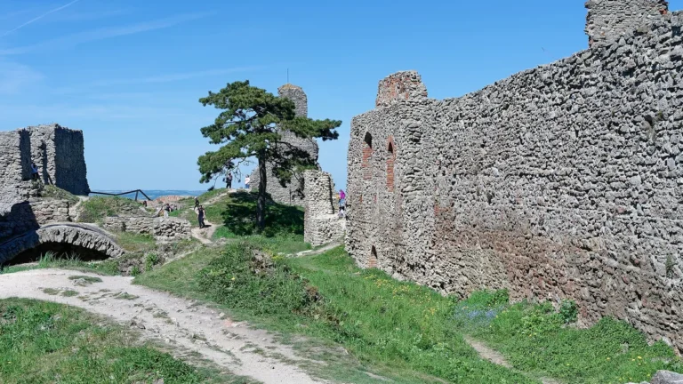 Hradby a travnaté nádvoří zříceniny hradu Starý Jičín s borovicí a zbytky věže