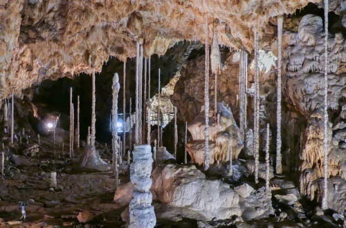 Krápníková výzdoba s tenkými hůlkovými stalagmity v Kateřinské jeskyni v Moravském krasu