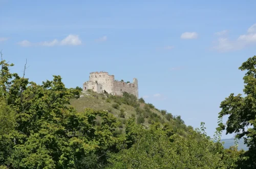 Zřícenina Dívčí hrady na severním výběžku Děvína nad Pavlovem, pohled od jihu