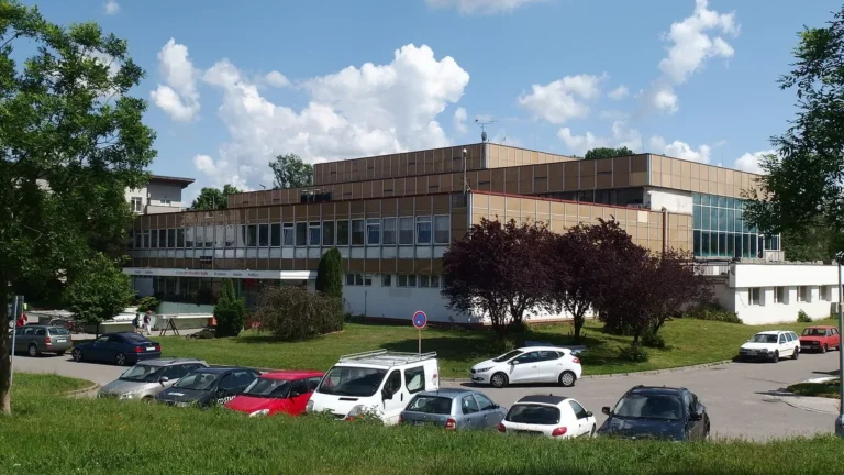 Budova krytého plaveckého bazénu v Kroměříži s prosklenou halou a hnědou obkladovou fasádou, před ní parkoviště s auty a trávník