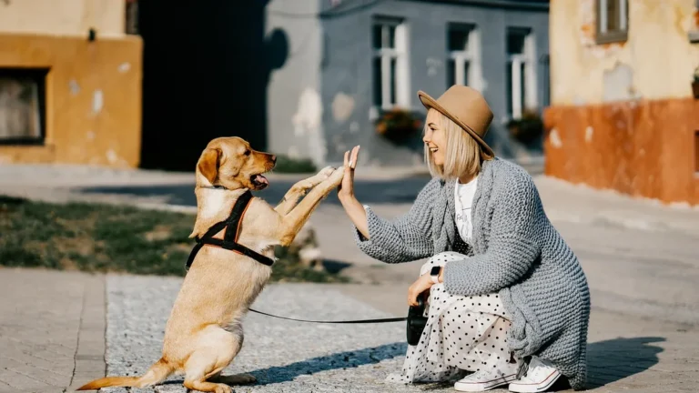Žena si podává packu se psem