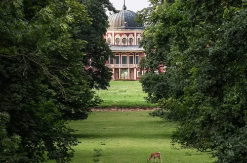 Zámek Veltrusy s kupolí průhledem zámeckého parku od jihu, v popředí se na louce pase daněk