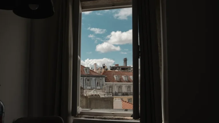 Pohled z okna bytu na střechy města