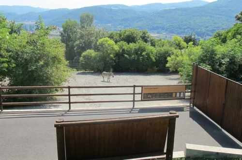 Výběh zeber Hartmannové v Zoo Ústí nad Labem s výhledem na zalesněné kopce nad údolím Labe